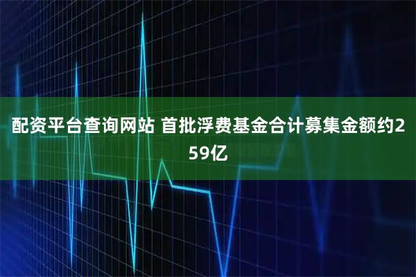 配资平台查询网站 首批浮费基金合计募集金额约259亿