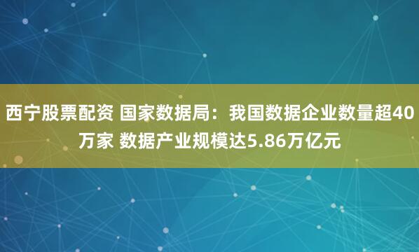 西宁股票配资 国家数据局：我国数据企业数量超40万家 数据产业规模达5.86万亿元